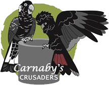 Carnaby's Crusaders Logo
